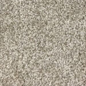 Shaw Carpet Broadloom 12x131 PM3399