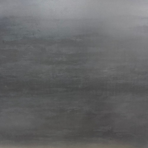 AC Slabs Plane Black 60"x120" Honed