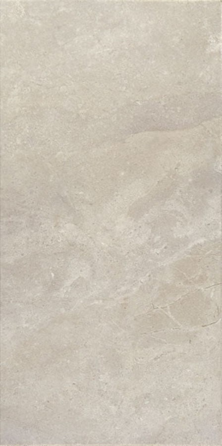 Affinity_Grey_12x24_ea64745c-c9e9-4f43-bcc4-a17e1c86cd75