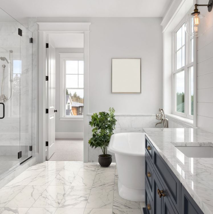 Daltile Costar Calacatta Empire