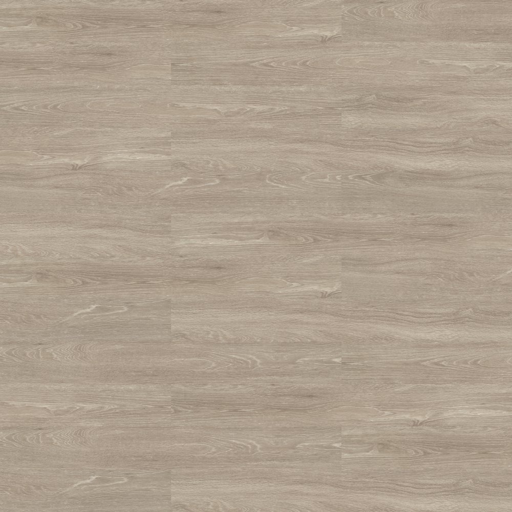 Shaw Terrain II 6x48 Echo 20Mil