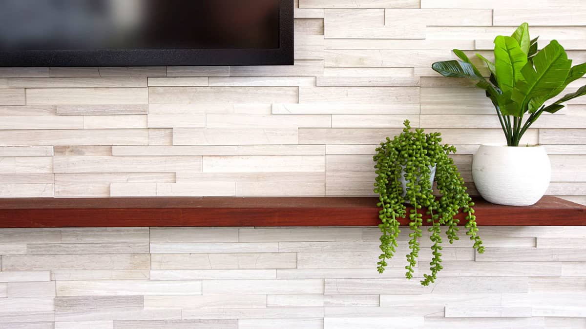 White Birch Panel 6"x24" Honed